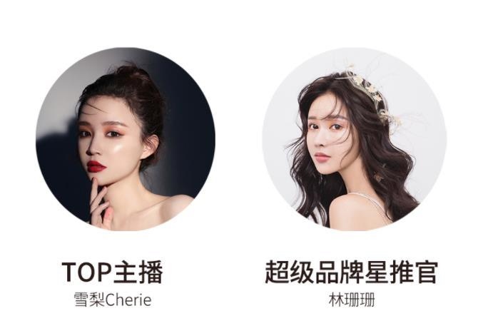 宸帆電商官網截圖。