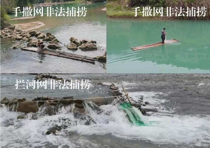 2021年9—10月，前期暗查發(fā)現(xiàn)，保護(hù)區(qū)核心區(qū)內(nèi)非法捕撈行為十分猖獗