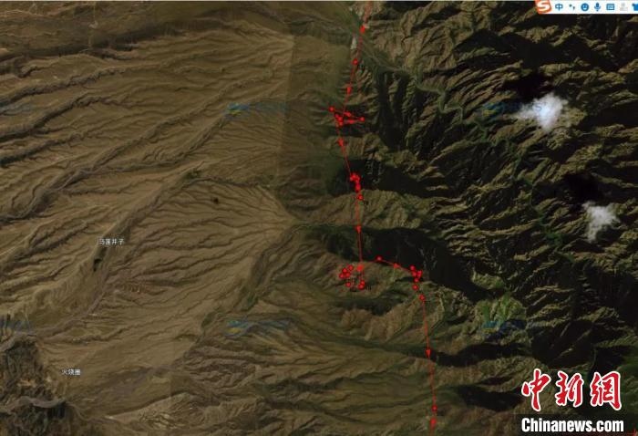 圖為雪豹故地重游來到放歸地的足跡?！?nèi)蒙古賀蘭山國家級自然保護(hù)區(qū)供圖