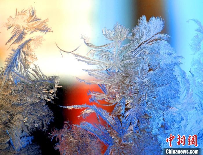 冰窗花千姿百態(tài)。　孫書程 攝