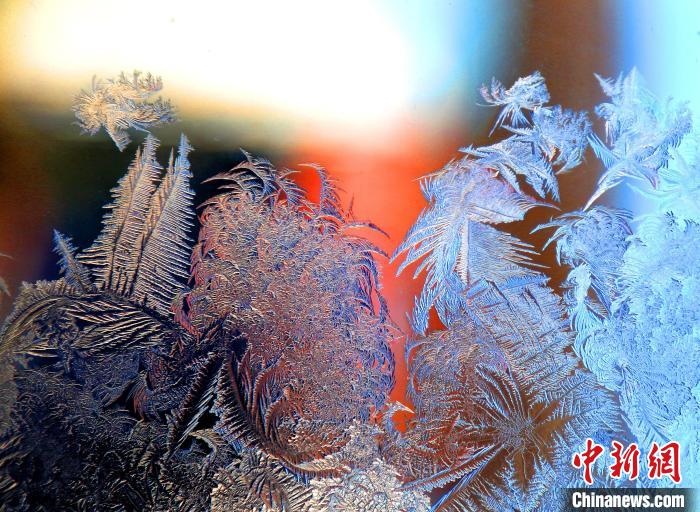 惟妙惟肖的冰窗花，似一幅風(fēng)景畫?！O書程 攝