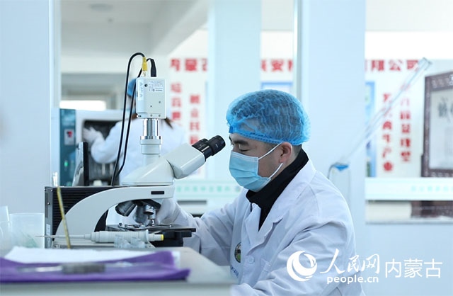 內(nèi)蒙古中農(nóng)興安種?？萍加邢薰韭鋺艨朴抑衅欤瑸槿馀．a(chǎn)業(yè)發(fā)展提供了優(yōu)質(zhì)的種源保障。白俊華攝