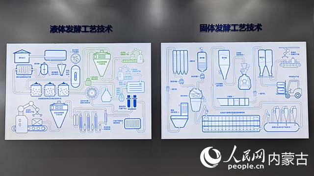 科拓生物工藝技術(shù)展示。人民網(wǎng)記者 張雪冬攝