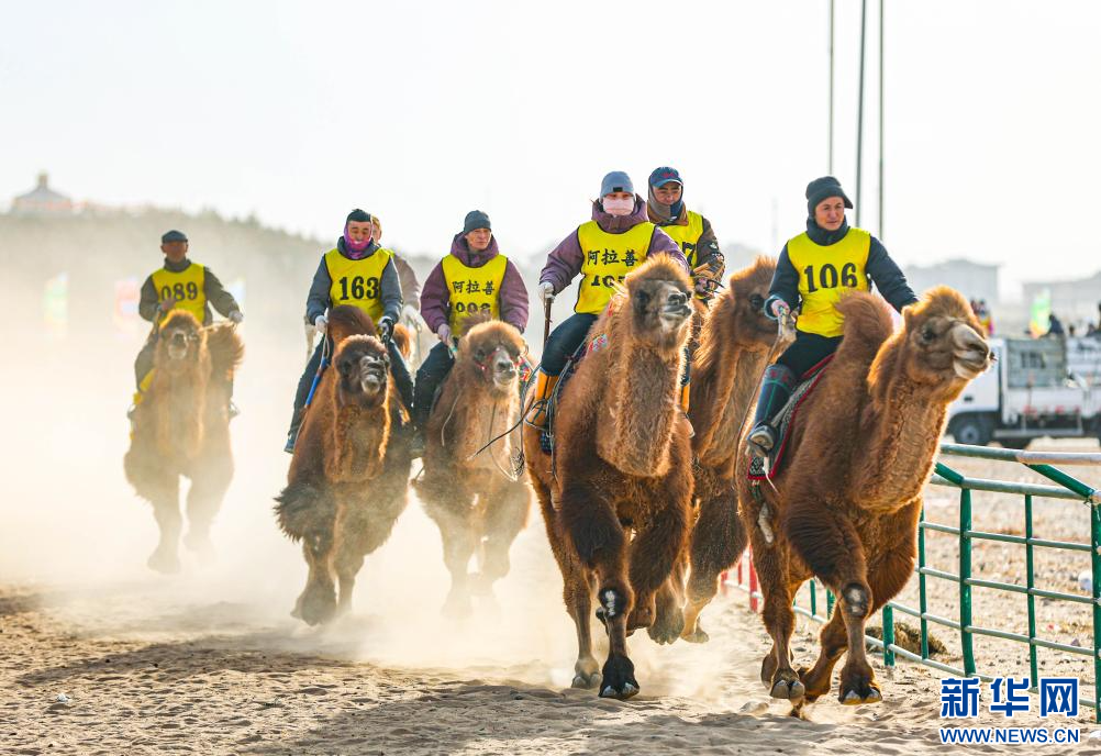 3月7日，賽駝手在6000米成年駱駝場(chǎng)地速度賽比賽中。.jpg