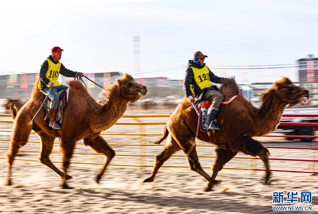 3月7日，賽駝手在6000米成年駱駝場(chǎng)地速度賽比賽中.jpg
