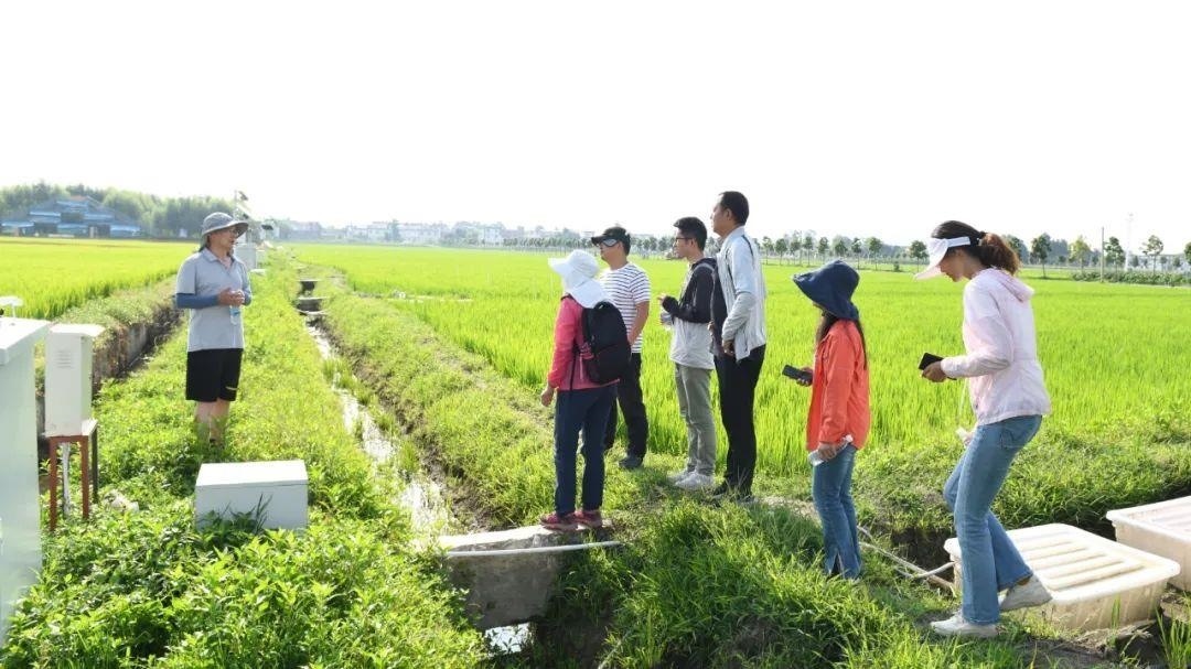 △云南大理古生村科技小院成員在田間調查。