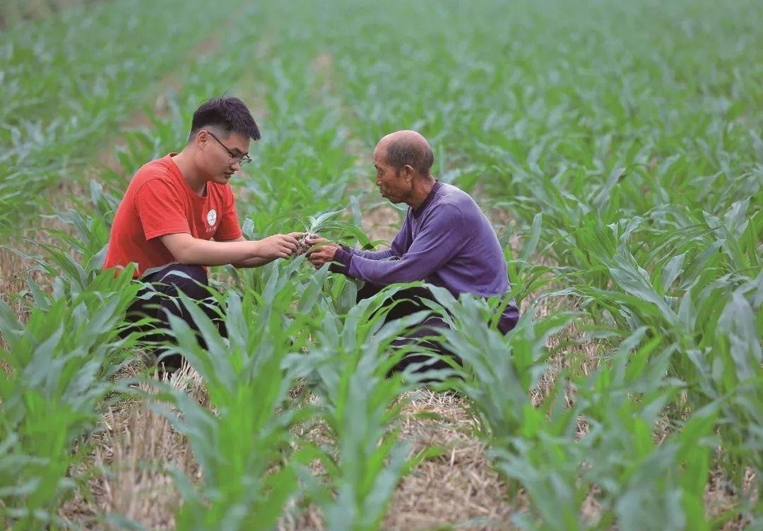 △科技小院的學生在給村民講解玉米種植知識。