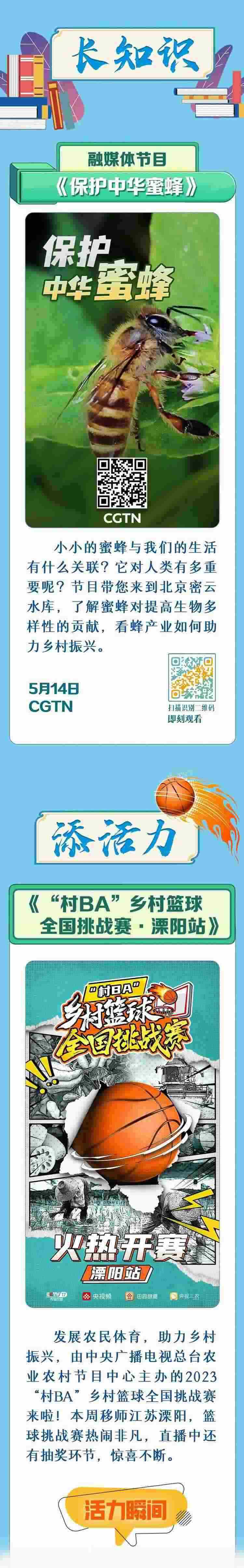 總臺周看點，來了！