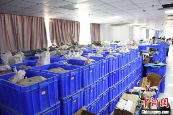 圖為待清理的骨骼標本。王宇 攝