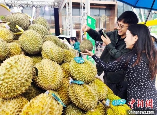 圖為廣西南寧市民在選購榴蓮。黃艷梅 攝