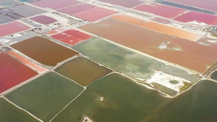 鑒往知來(lái)，跟著總書(shū)記學(xué)歷史丨走進(jìn)一座博物館，尋根五千年中華文明