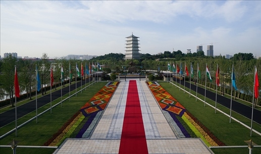 時(shí)政微觀察丨石榴花開(kāi)的時(shí)節(jié)