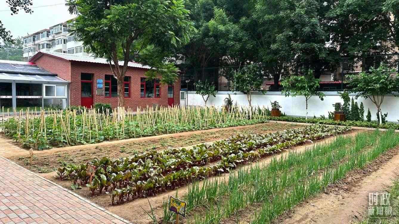 △學生農(nóng)場。（總臺央視記者趙化拍攝）