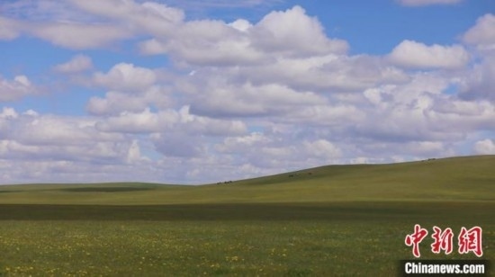 圖為點(diǎn)點(diǎn)新綠在原野上蓄勢待發(fā)。 歐戈 攝