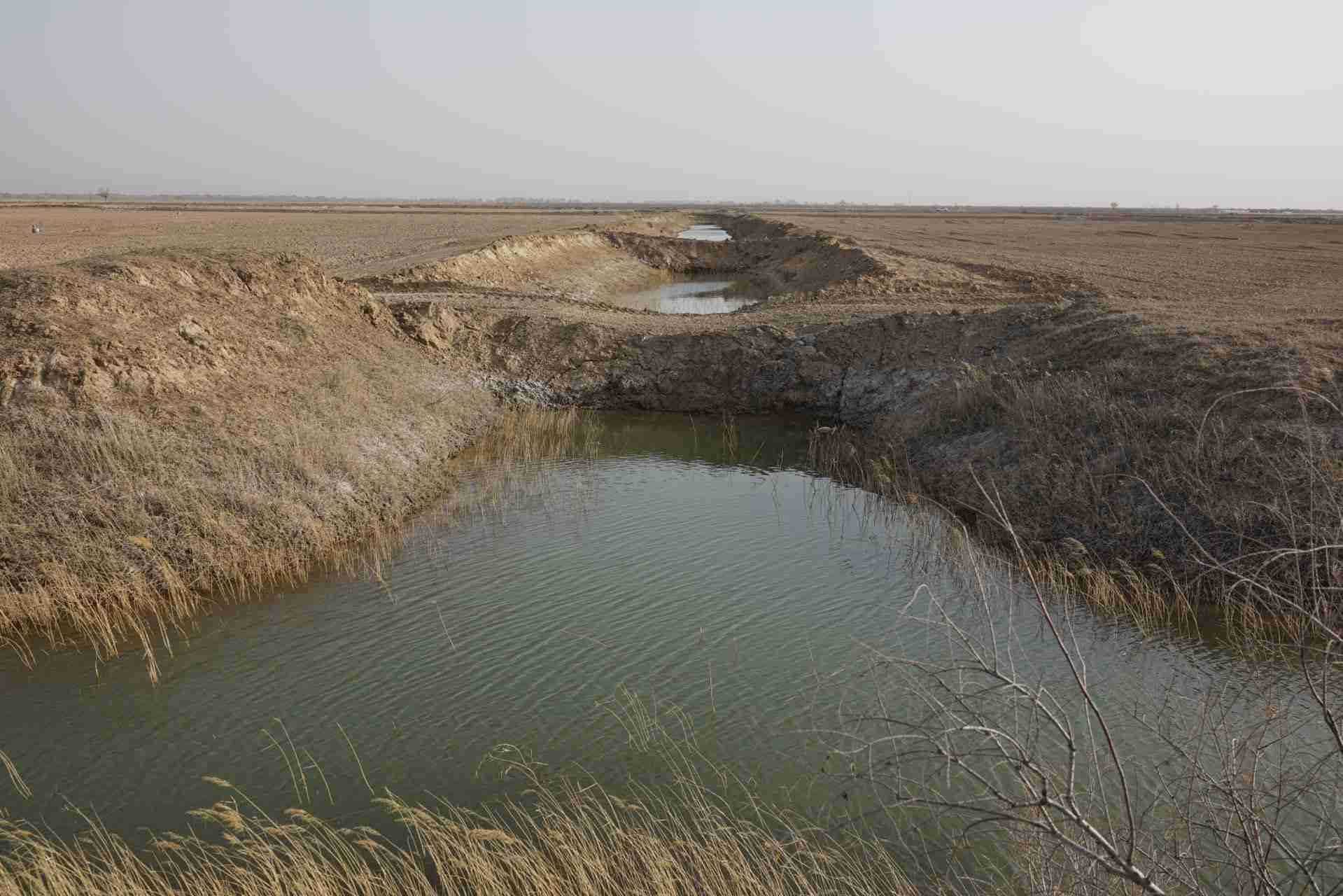 堵塞的排堿渠。 人民網(wǎng)記者 游天燚攝