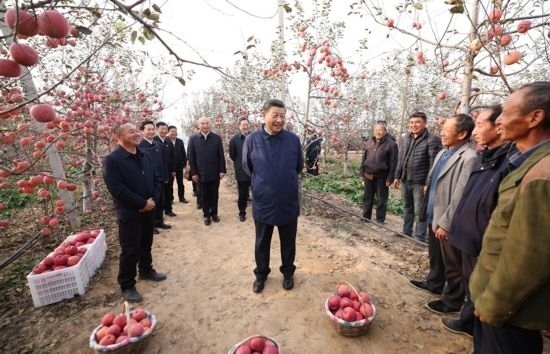 2022年10月26日，習(xí)近平總書記在陜西省延安市安塞區(qū)高橋鎮(zhèn)南溝村蘋果園同老鄉(xiāng)們親切交流。