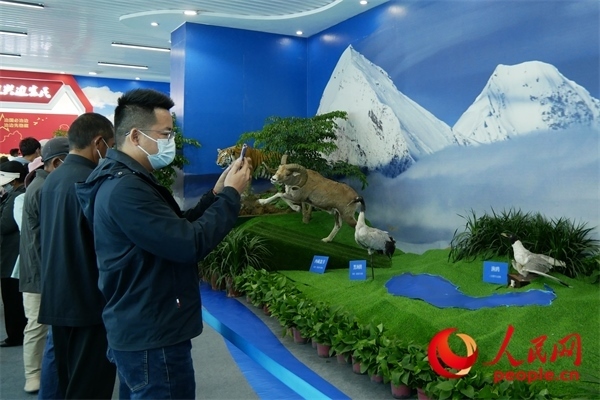 6月17日，觀眾正在觀展。人民網(wǎng) 韋衍行攝