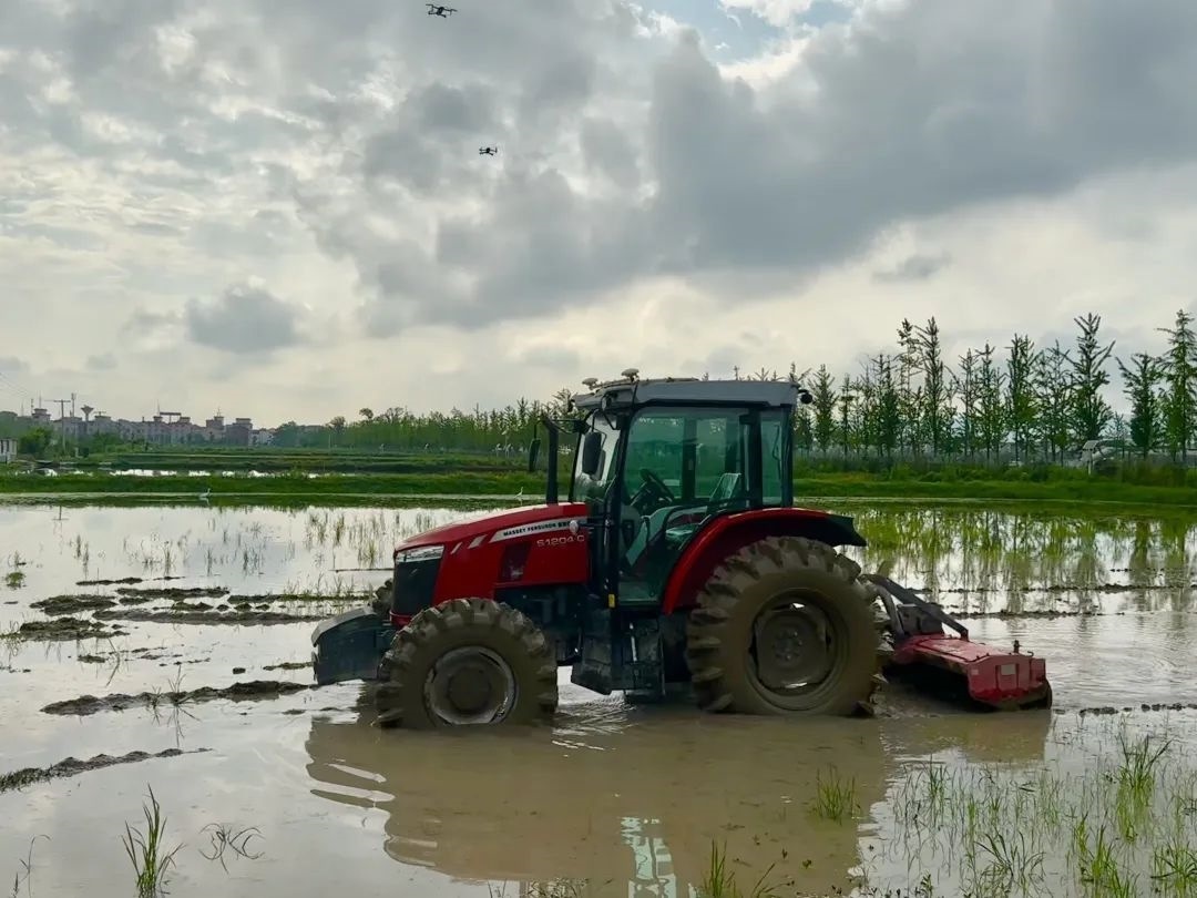 浙江省金華市東陽(yáng)市城東街道寀盧村的一臺(tái)無(wú)人駕駛耕地機(jī)。靜玄 攝