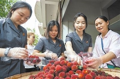 志愿者和村民一起將摘下的楊梅裝進食品盒里。
