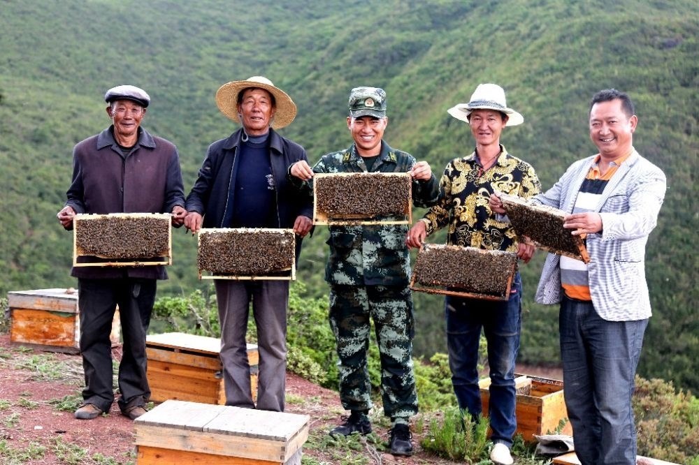 ↑武警四川總隊(duì)涼山支隊(duì)精準(zhǔn)幫扶昭覺縣梭梭拉打村發(fā)展養(yǎng)蜂產(chǎn)業(yè)，總隊(duì)駐村扶貧干部布哈（中）和村民一同展示豐收成果（2019年6月12日攝）。新華社發(fā)（楊劍 攝）