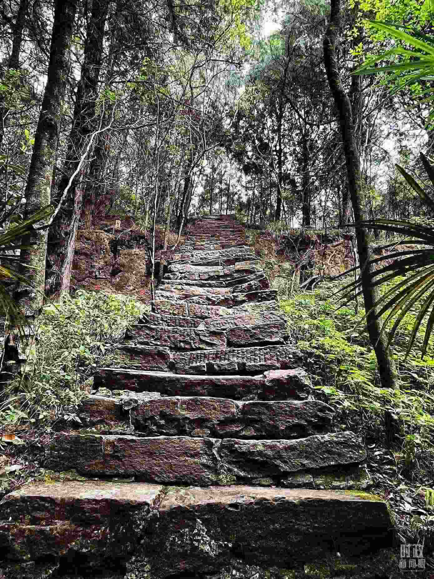 △古蜀道。（總臺央視記者郭曉龍拍攝）