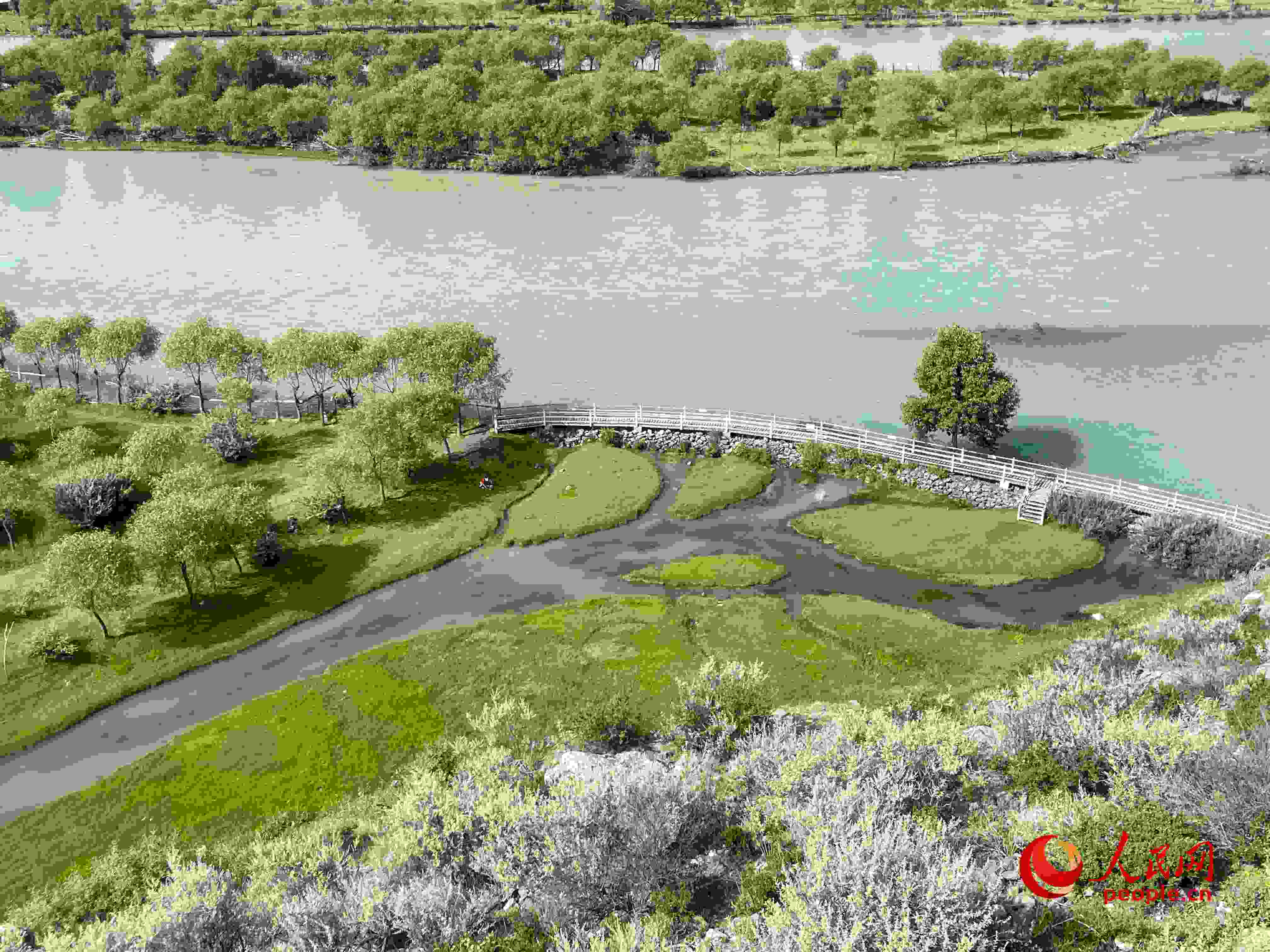 夏日的雅尼國家濕地公園生機盎然，如詩如畫。人民網(wǎng) 周靜圓攝