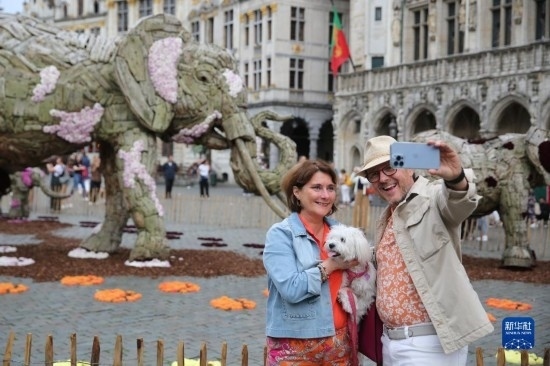 8月11日，觀眾在比利時(shí)布魯塞爾“鮮花時(shí)光”展覽上拍照。新華社記者 趙丁喆攝