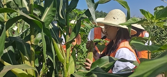 北京工商大學(xué)組織學(xué)生開展暑期社會(huì)實(shí)踐。學(xué)校供圖