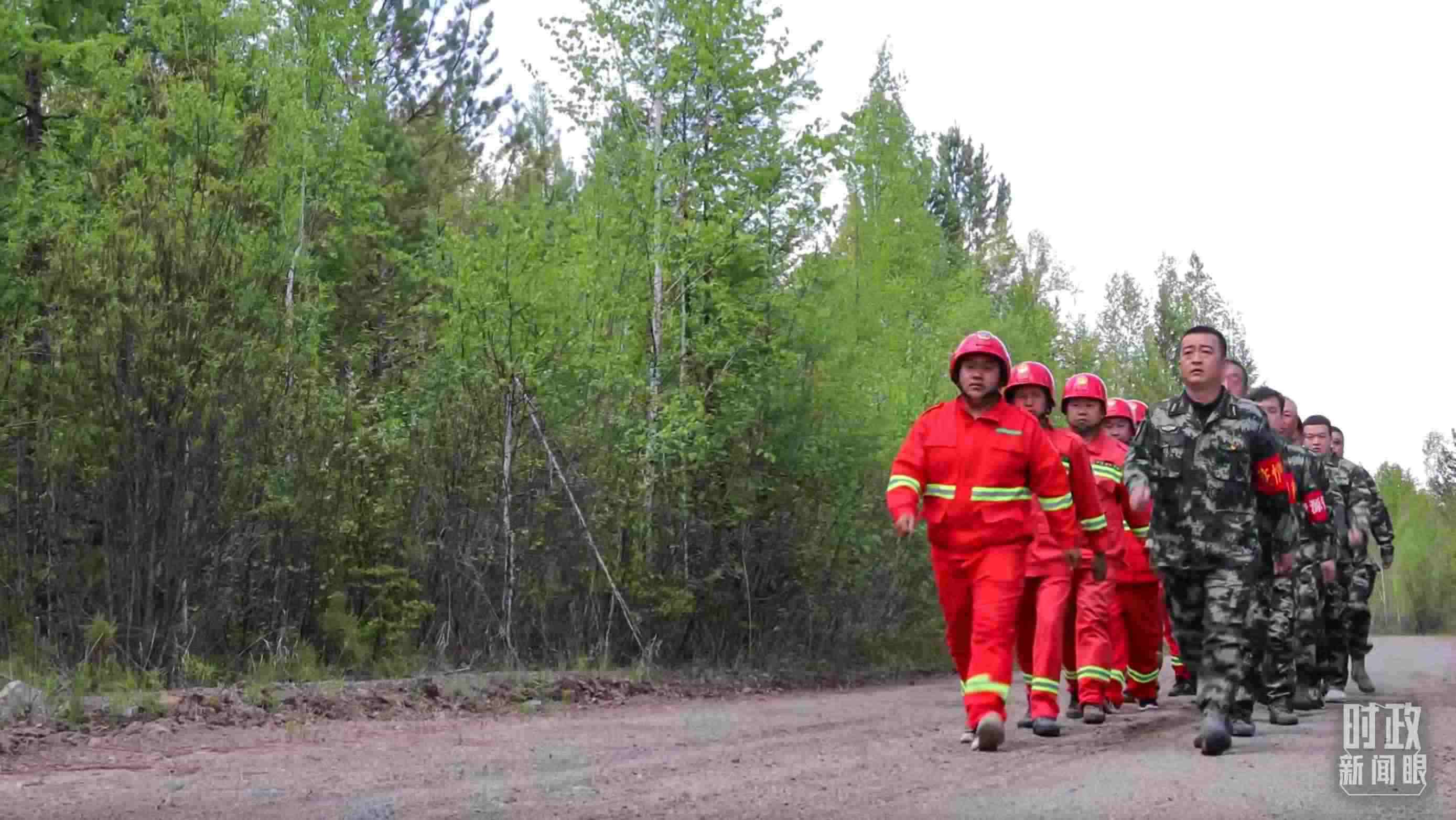 △林場里的森林巡護。