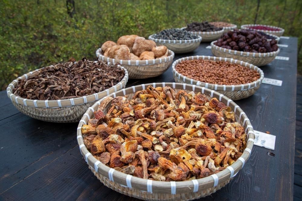 △近日，漠河市北極村一景區(qū)展示的林下產(chǎn)品。