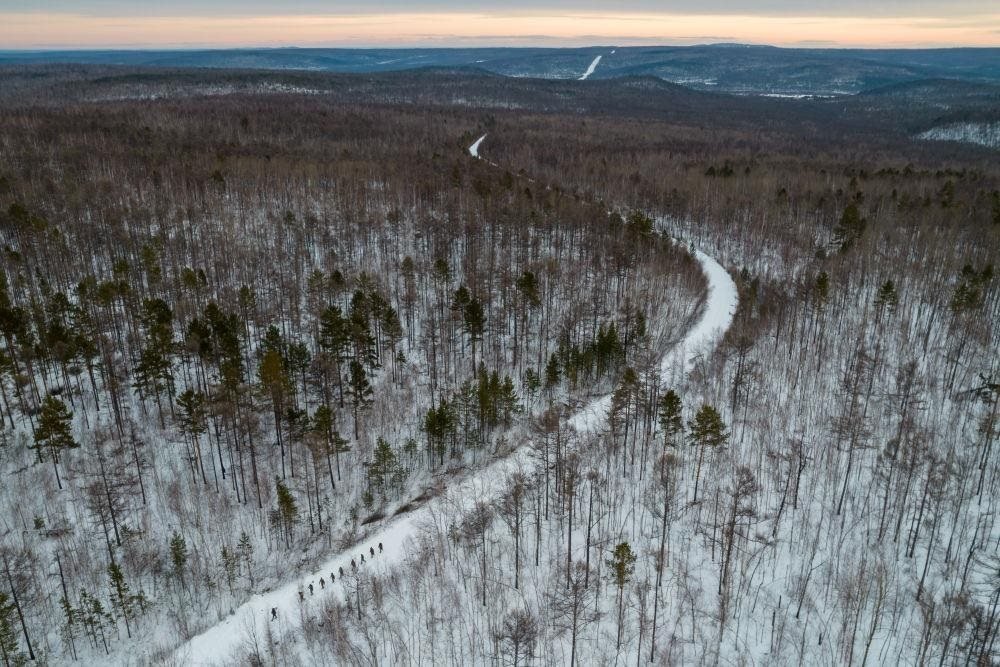△2023年1月，漠河林場數(shù)十名職工自發(fā)組成的森林撫育隊伍，在人跡罕至的山林中作業(yè)。