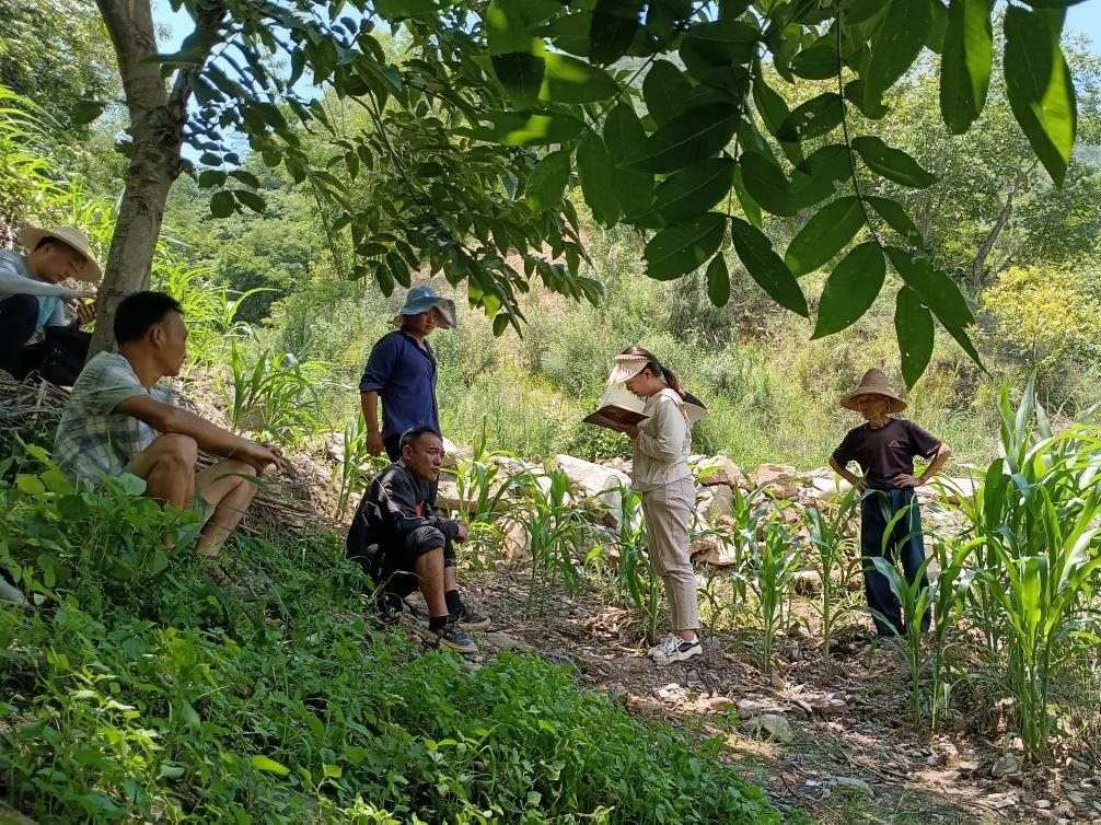 2023年7月18日，兩家村民發(fā)生土地方面的糾紛，李江女（右二）在記錄情況。受訪者供圖