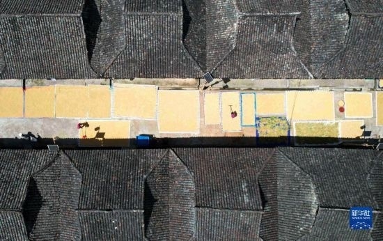 9月16日，在貴州省黔東南苗族侗族自治州從江縣加勉鄉(xiāng)污扣村，村民在晾曬稻谷（無人機(jī)照片）。