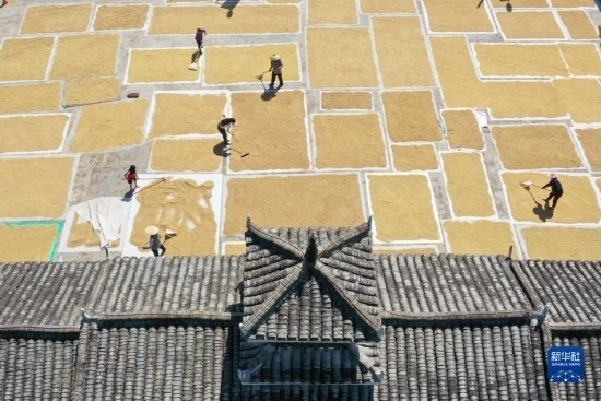 9月16日，村民在貴州省黔東南苗族侗族自治州從江縣剛邊壯族鄉(xiāng)三聯(lián)村晾曬稻谷（無人機(jī)照片）。