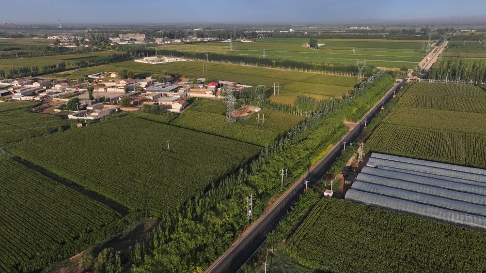 東興村周邊建起防護(hù)林網(wǎng)（無人機(jī)照片，2023年9月12日攝）。新華社記者李云平 攝