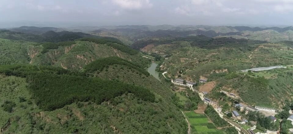 黃土溝壑中的高西溝村滿眼綠色（無人機(jī)照片，2023年7月26日）。新華社記者陳昌奇 攝