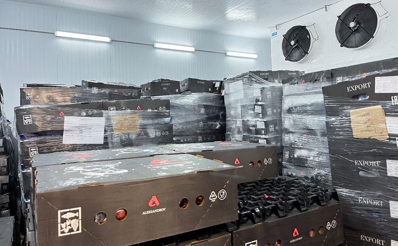 恒溫冷庫中，包裝好的牛肉等待發(fā)往中國。人民網(wǎng)記者 朱虹攝