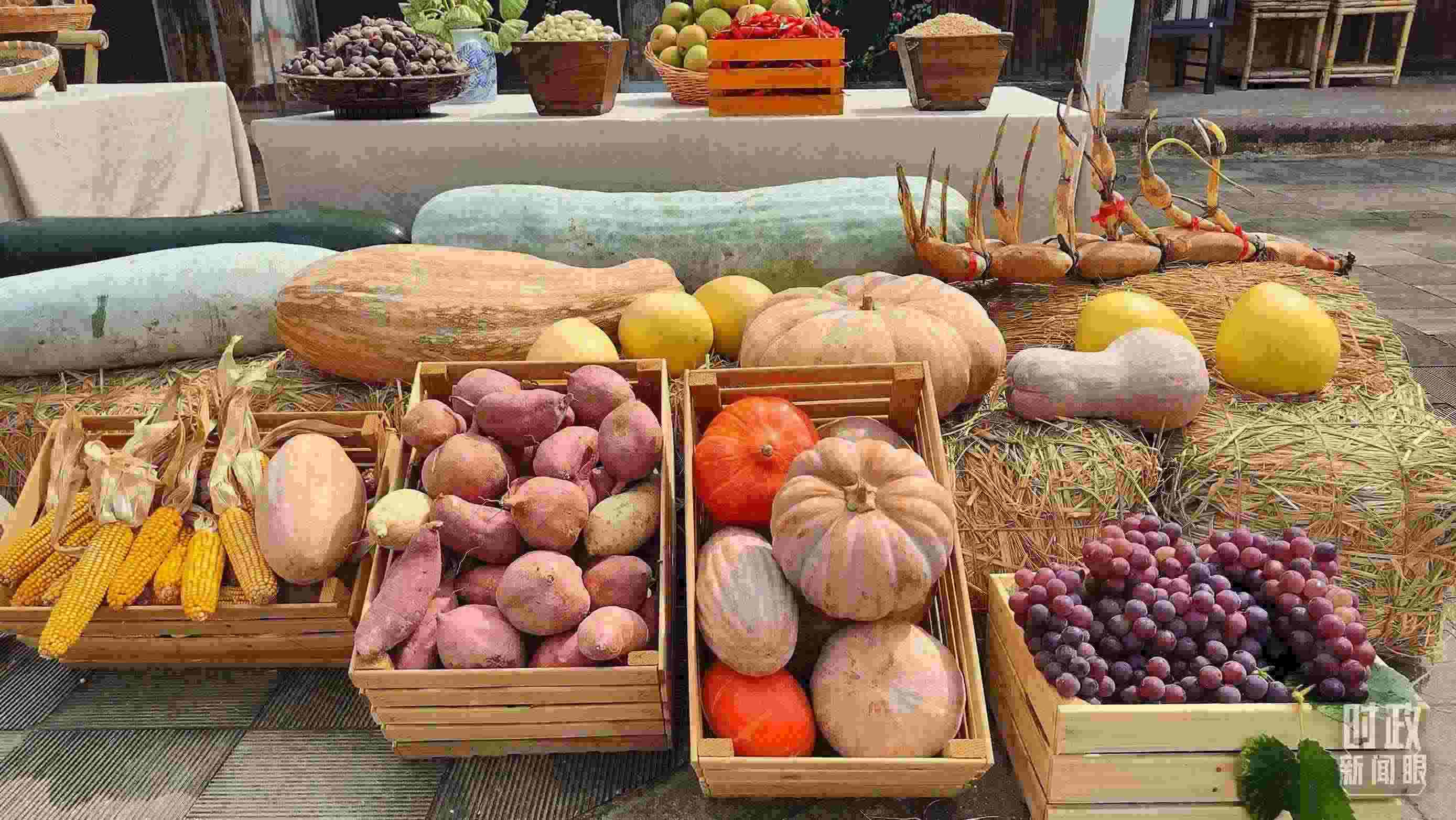 △村廣場(chǎng)“共富市集”，擺放著種類豐富的特色農(nóng)產(chǎn)品。（總臺(tái)央視記者楊立峰拍攝）