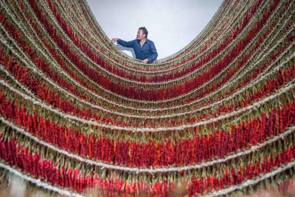 在貴州省畢節(jié)市大方縣理化鄉(xiāng)金雞村，村民查看辣椒烘干情況。新華社發(fā) 羅大富攝