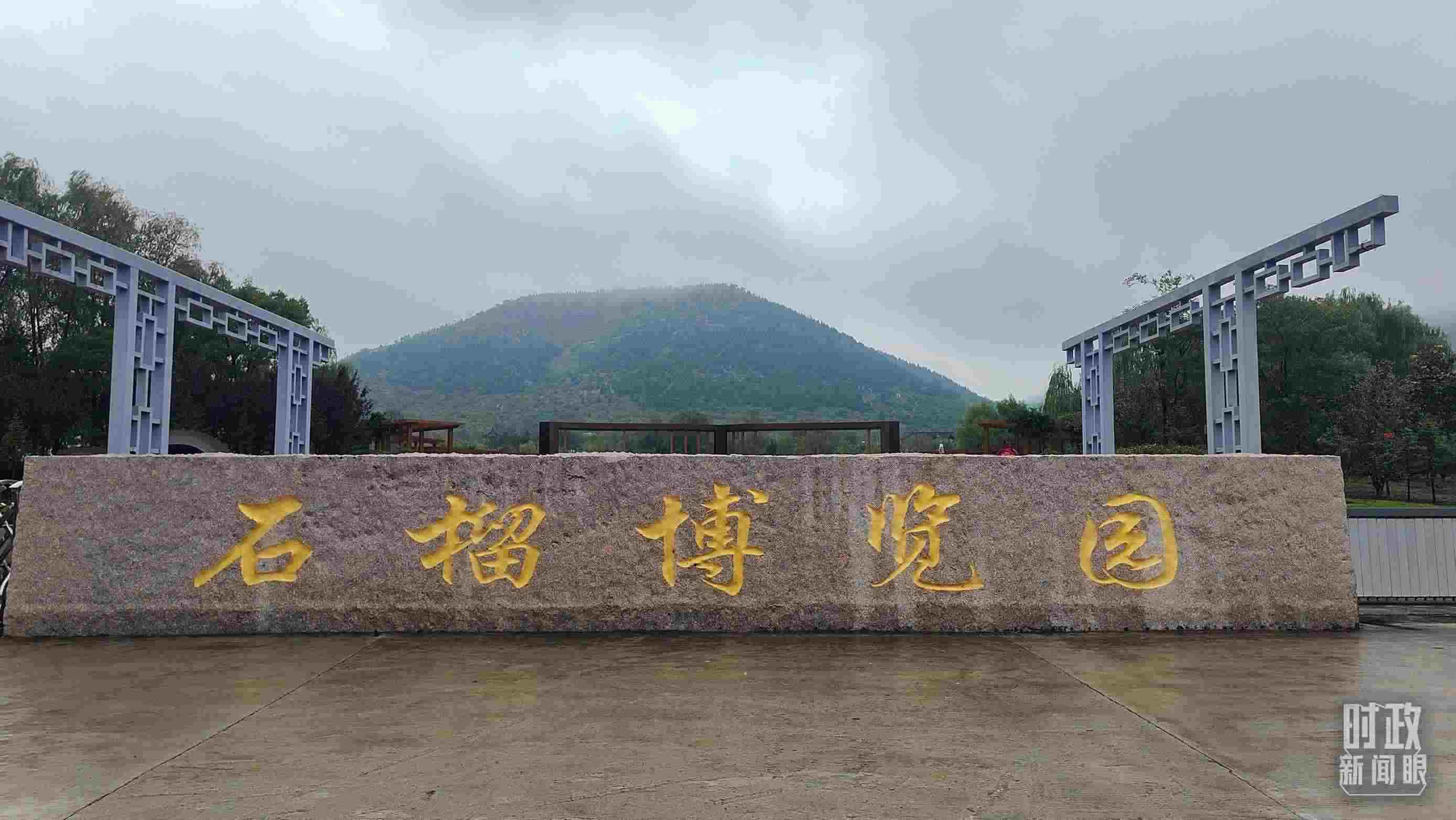 △石榴種質(zhì)資源庫位于石榴博覽園內(nèi)。（總臺(tái)央視記者楊立峰拍攝）