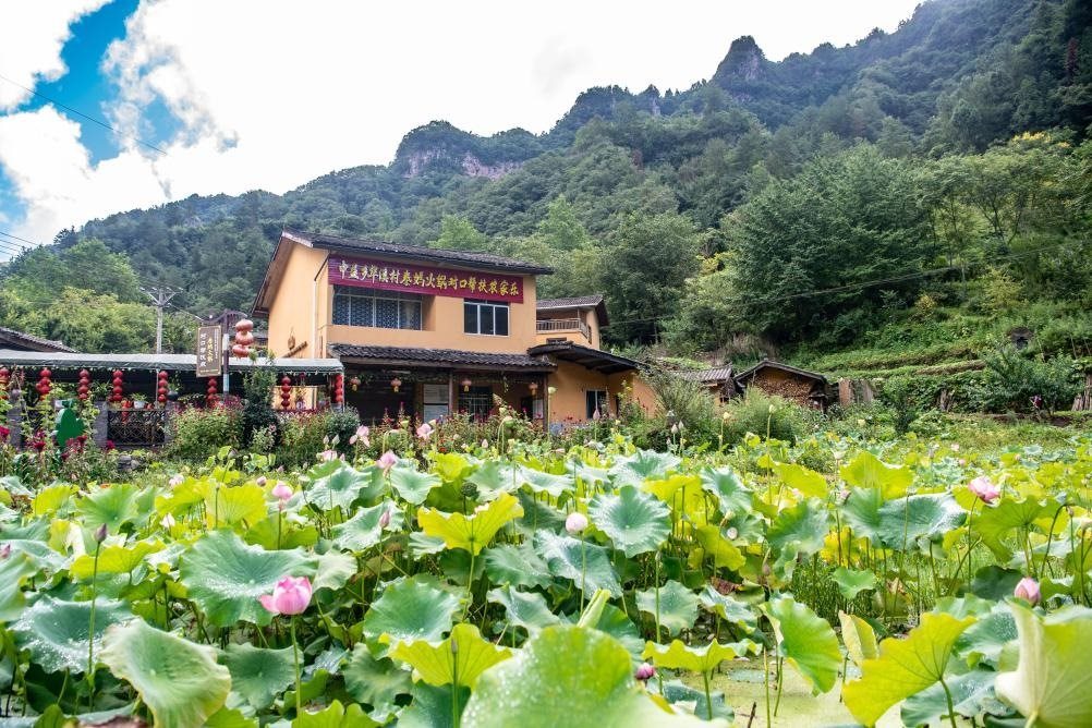 這是8月28日拍攝的華溪村村民開設(shè)的農(nóng)家樂外景。新華社記者 唐奕 攝