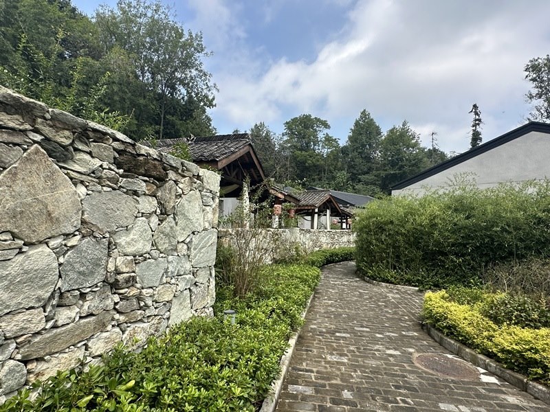 眾多民宿坐落于夫子山山麓。人民網(wǎng) 王紹紹攝