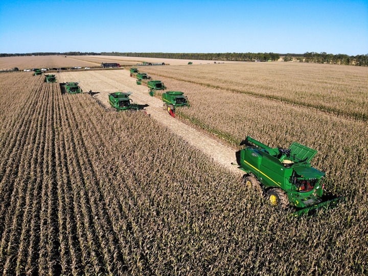 9月20日在位于黑龍江雙鴨山市友誼縣的北大荒農業(yè)股份有限公司友誼分公司一地塊拍攝的秋收現(xiàn)場（無人機照片）。新華社記者 王松 攝
