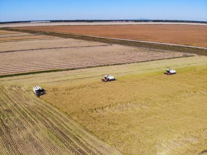 這是在位于黑龍江雙鴨山市友誼縣的北大荒農(nóng)業(yè)股份有限公司友誼分公司一地塊拍攝的水稻收獲現(xiàn)場(chǎng)（2023年9月21日攝，無(wú)人機(jī)照片）。新華社記者 王松 攝
