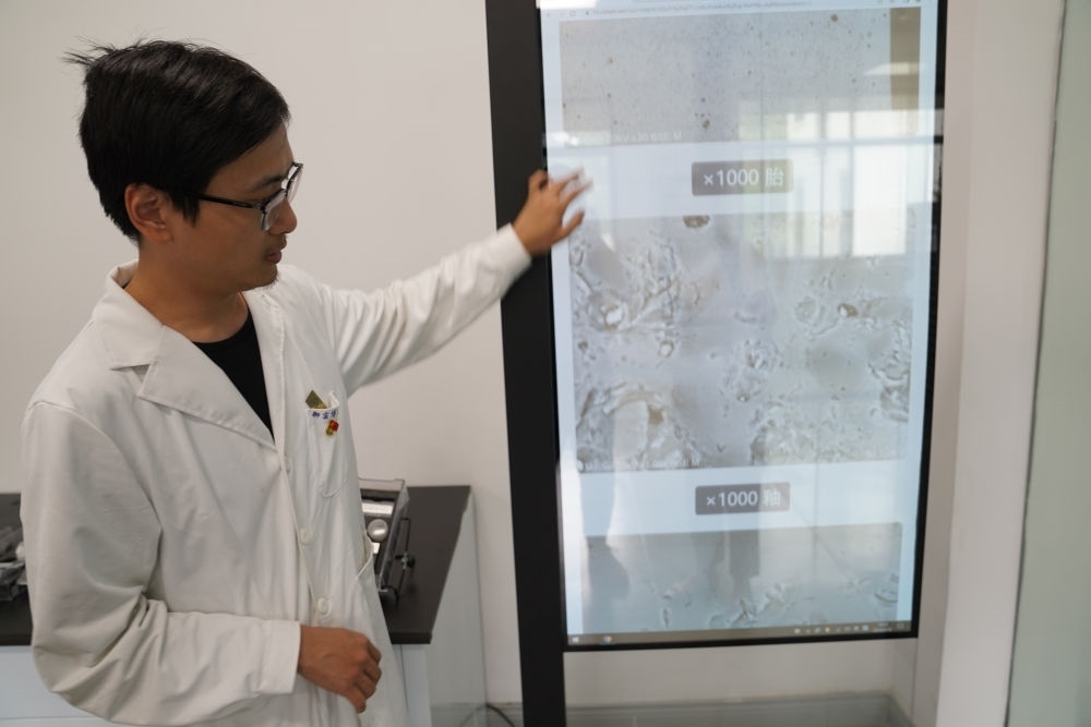 ↑ 工作人員展示瓷片標(biāo)本的配方研究數(shù)據(jù)（2023年5月16日攝）。