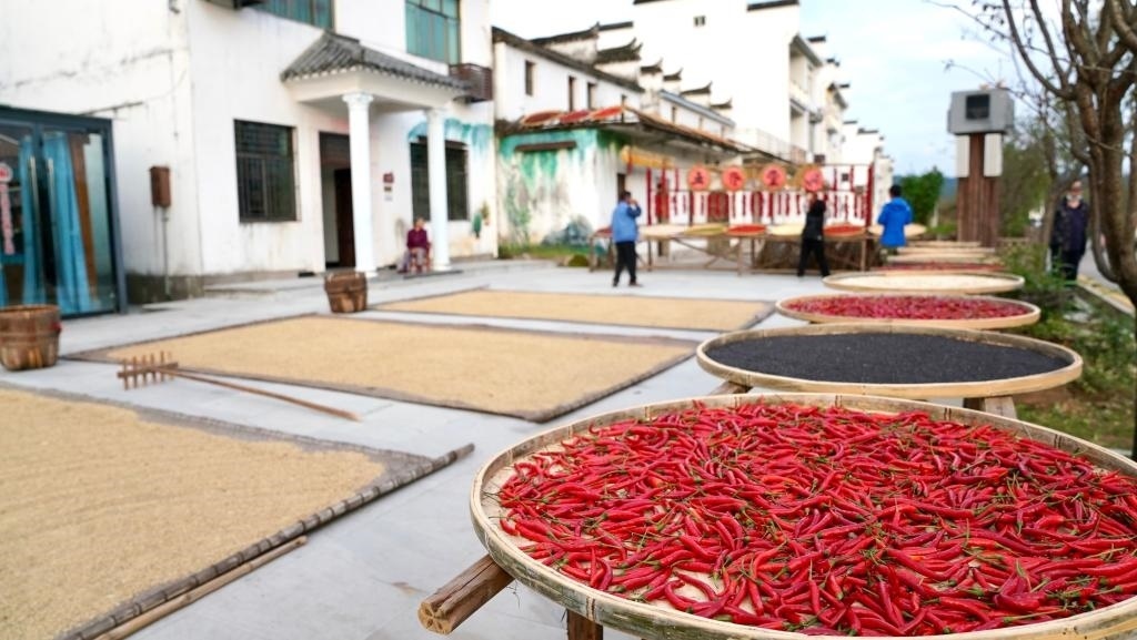 近日拍攝的江西省上饒市婺源縣秋口鎮(zhèn)王村石門自然村。新華社記者 胡晨歡 攝