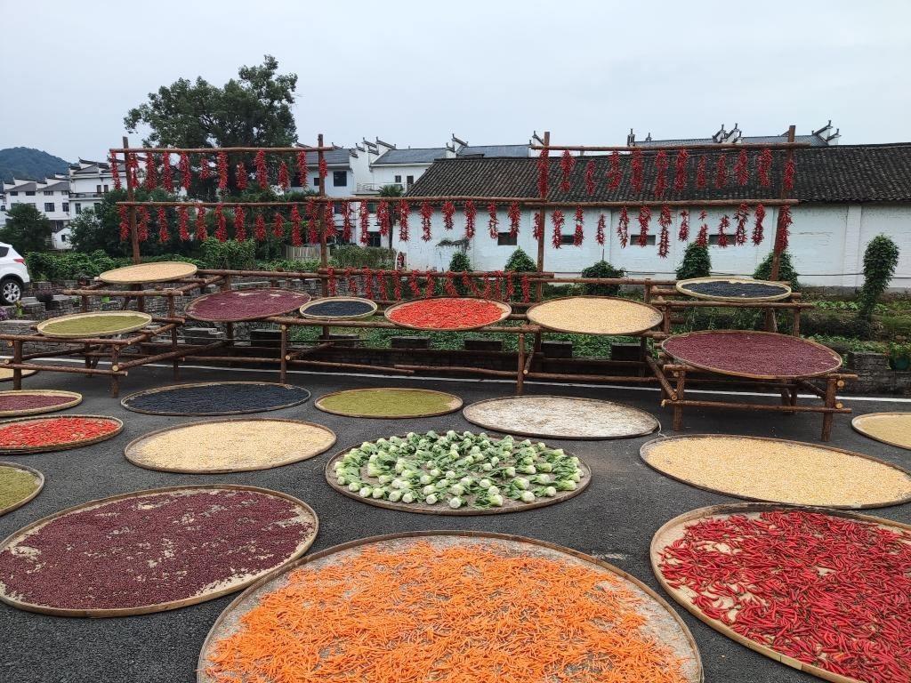 近日，江西省上饒市婺源縣秋口鎮(zhèn)王村村民晾曬的農(nóng)作物。新華社記者 劉佳敏 攝