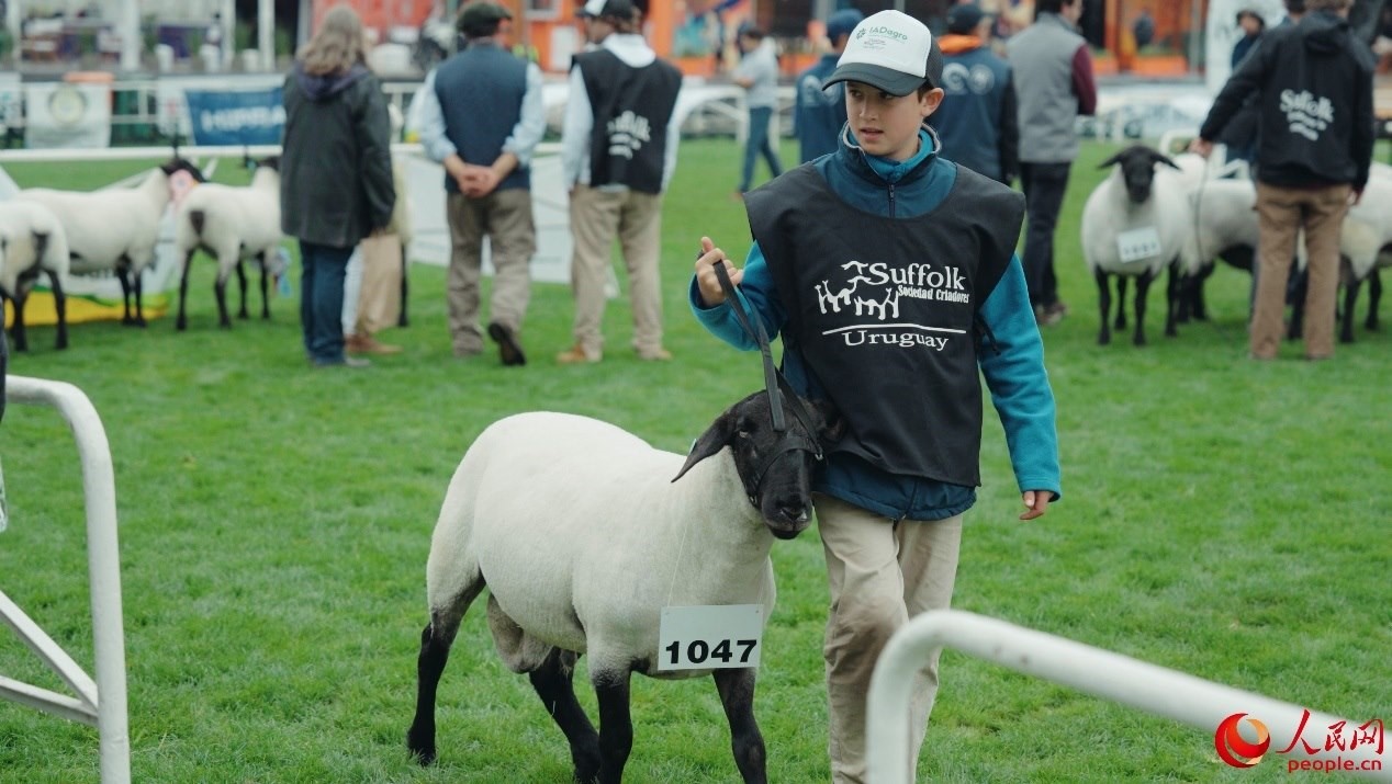 烏拉圭第118屆普拉多牧農業(yè)國際博覽會現(xiàn)場。人民網記者 張若涵攝
