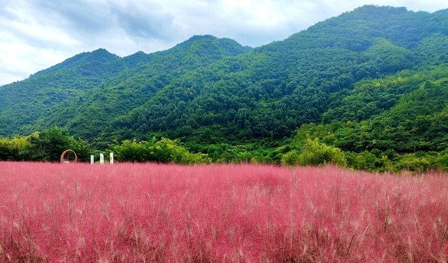 寶成線鳳縣境內(nèi)的路邊。