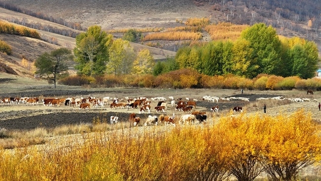 中國鐵路呼和浩特局集團(tuán)有限公司